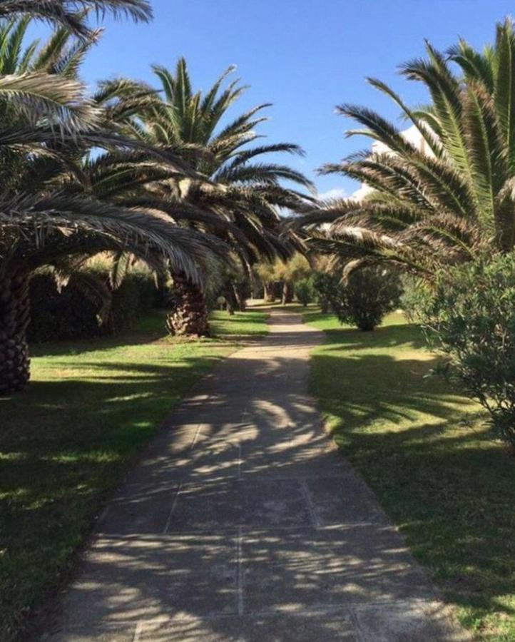 דירות סן סיפריאן Rez De Jardin + Terrasse Piscine Et Acces Direct Plage מראה חיצוני תמונה